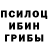 Псилоцибиновые грибы Magic Shrooms JLohman711