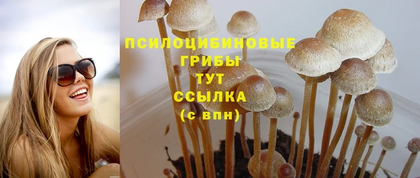 MESCALINE Заволжье